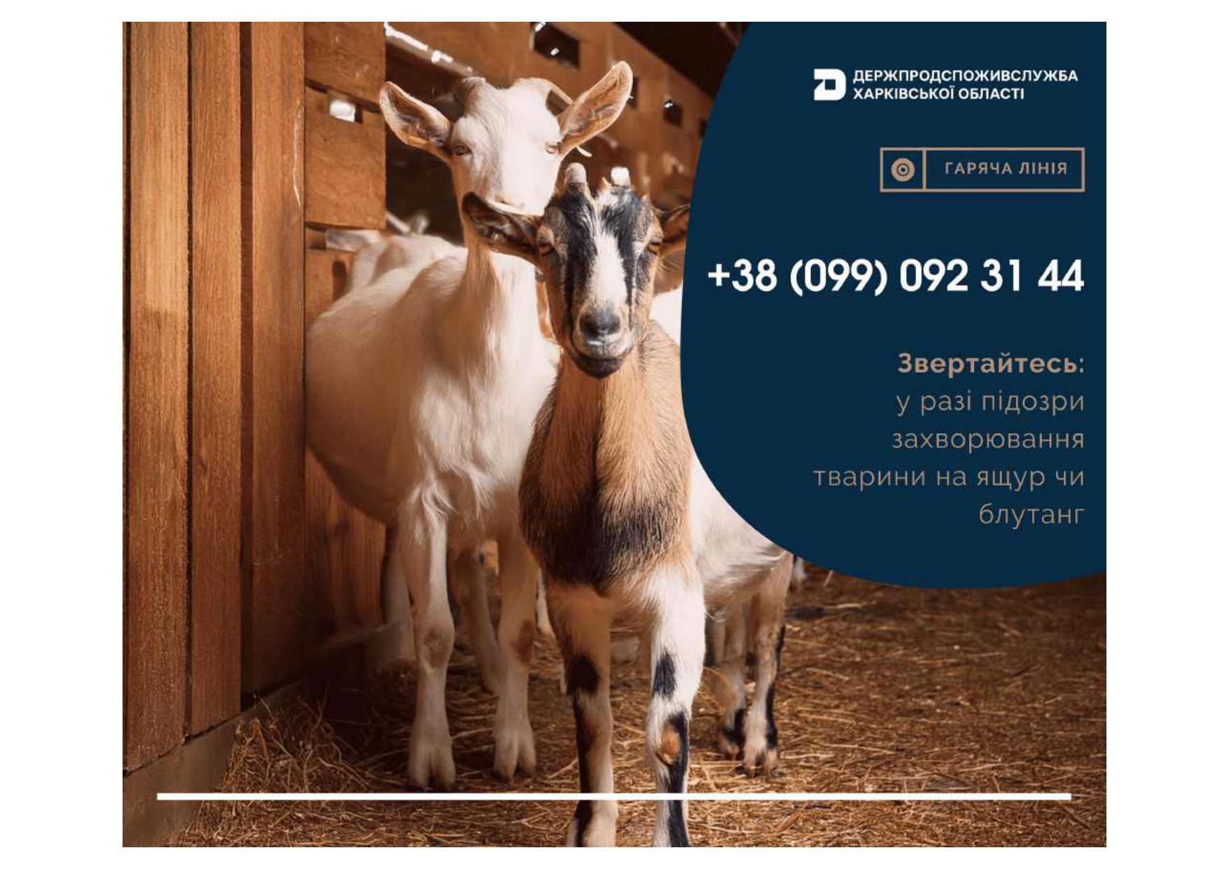 Гаряча лінія ГУ Держпродспоживслужби в Харківській області 2 page 0001