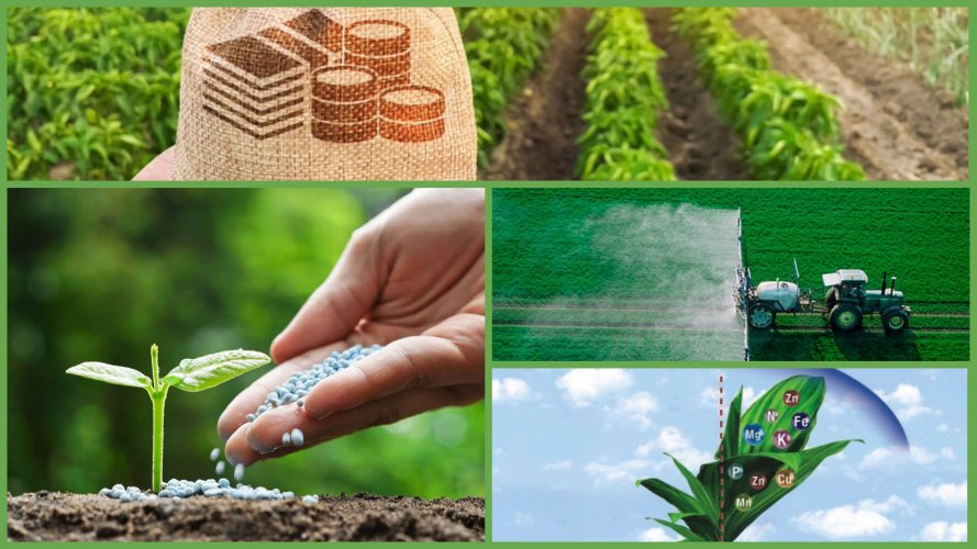 Картинка 30012025 1