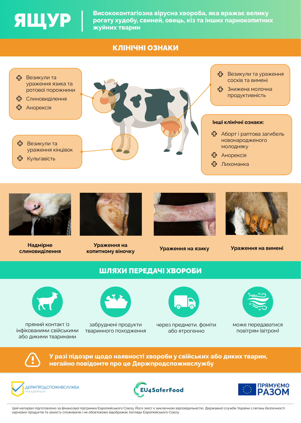 Ящур Ветеринари Final 1 7