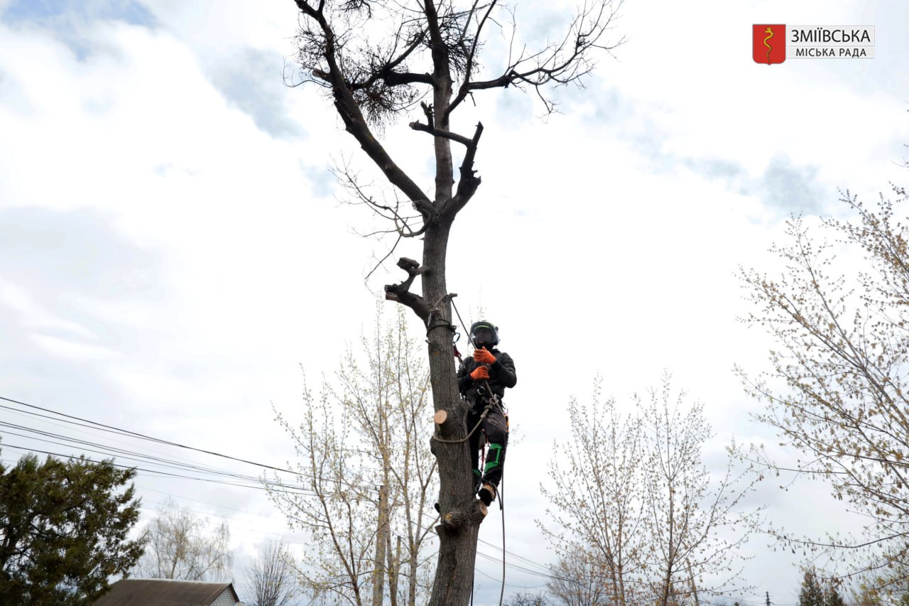 photo 2026 04 10 08 07 49