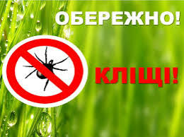 завантаження 09042024 1