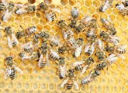 завантаження 23022024 1